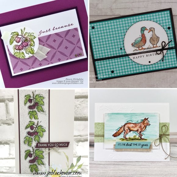 Stampin Up "Stylish Sketches" Stamp Set – Fox, Ducks, Figs, Branches (Masculine) - Picture 3 of 4